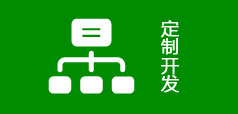 定制開(kāi)發(fā)